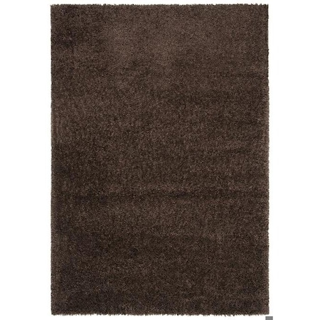 Safavieh 3 x 5 ft. August Shag 900 Power-Loomed Rectangle Rug Brown AUG900T-3